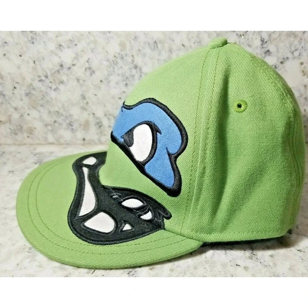 Teenage Mutant Ninja Turtles tmnt leonardo